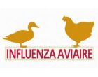 renforcement des mesures de biosécurité pour lutter contre l'Influenza aviaire