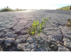 Arrêté sécheresse 18-04-2023