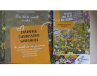 Savigneux en fleurs