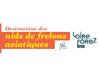 LFa Lutte contre le frelon asiatique - destruction des nids