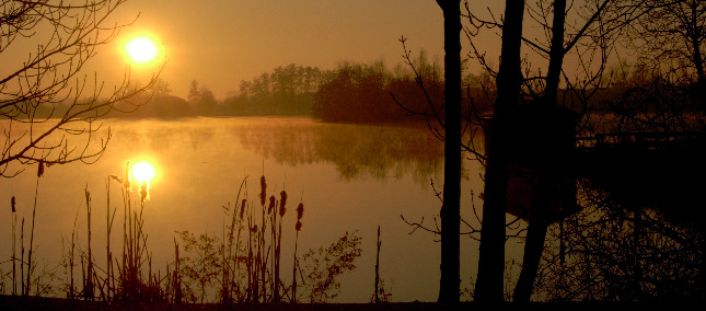 couch de soleil sur l'Etang de Savigneux