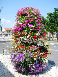 Coupe fleurs